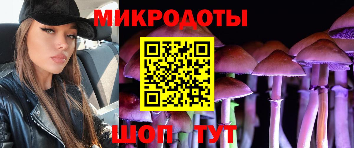 Псилоцибиновые грибы MAGIC MUSHROOMS  цена наркотик  Грязи  Вход с VPN  Псилоцибиновые грибы мухоморы 